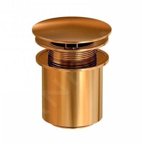 Steinberg 100 - Vidage refermable, ClickClack, rose gold 100 1692 RG (1/3)