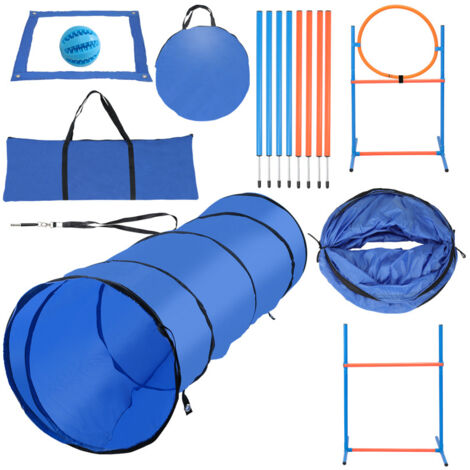 13 PASSATEMPI PER CANI PER TENERLI MENTALMENTE ATTIVI - Foto 4