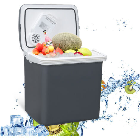 SWANEW Frigorifero elettrico Portatile da 32L Mini-frigorifero campeggio da 230V e 12V per auto camion barca o camper Caldo e Freddo modalità ECO (Gris)