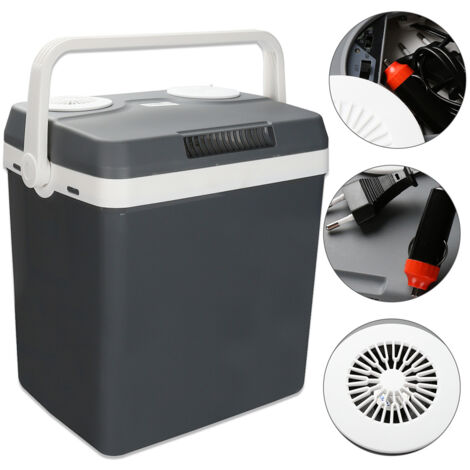 SWANEW Mini Frigo Portatile elettrico 32L per Auto e Ufficio. Frigorifero Piccolo per Brevi Viaggi. Caldo e Freddo 12V 220V 12V 220V Grigio