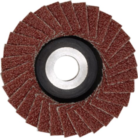 Disques de ponçage à lamelles en corindon – 50mm grain 100 – Pour métal, bois et plastique – Compatible meuleuses Proxxon - C53497