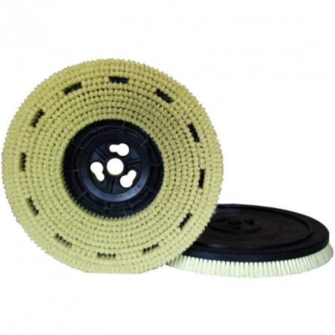 Plateau avec brosse à poils en fibres végétales pour monobrosses RAIMONDI