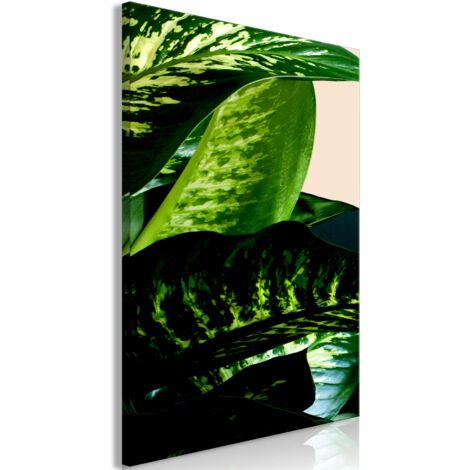 Cuadro decorativo en lienzo con impresión premium en 1 parte sobre marco de madera Patrón Dieffenbachia 40x60cm 110016077 (1/3)
