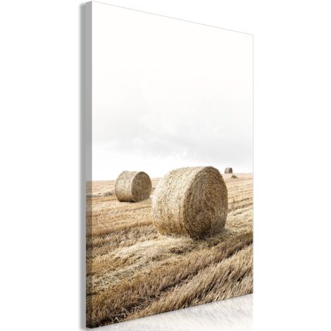 Cuadro decorativo en lienzo con impresión premium de 1 parte sobre marco de madera Patrón de heno 60x90 cm 110018335 (1/3)