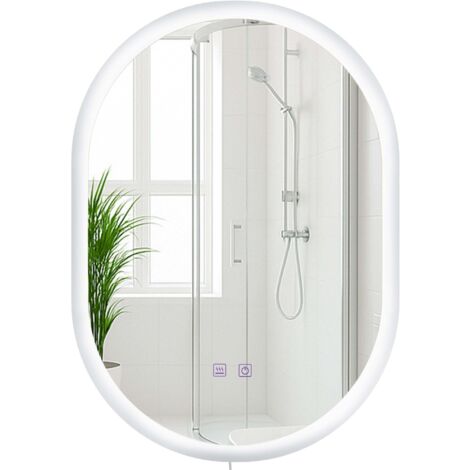 Espejo de baño ovalado con intensidad de luz regulable 70x50 cm con Bluetooth marco de metal transparente 100009081 (1/5)