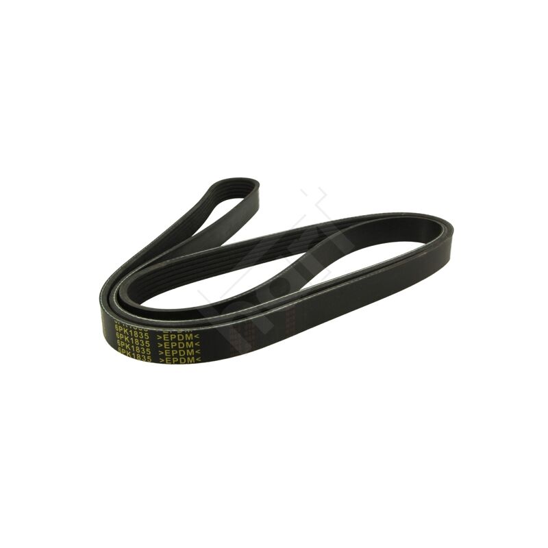 Courroie Striée 584PJ3 - Code RMA 230J3 - Compatible Vélo D'Appartement