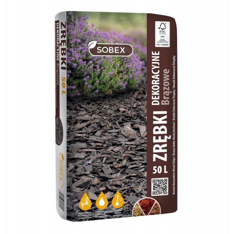 200 Copeaux De Bois Décoratifs Thème Automne - Écureuil Et Pomme De Pin Pour Artisanat DIY