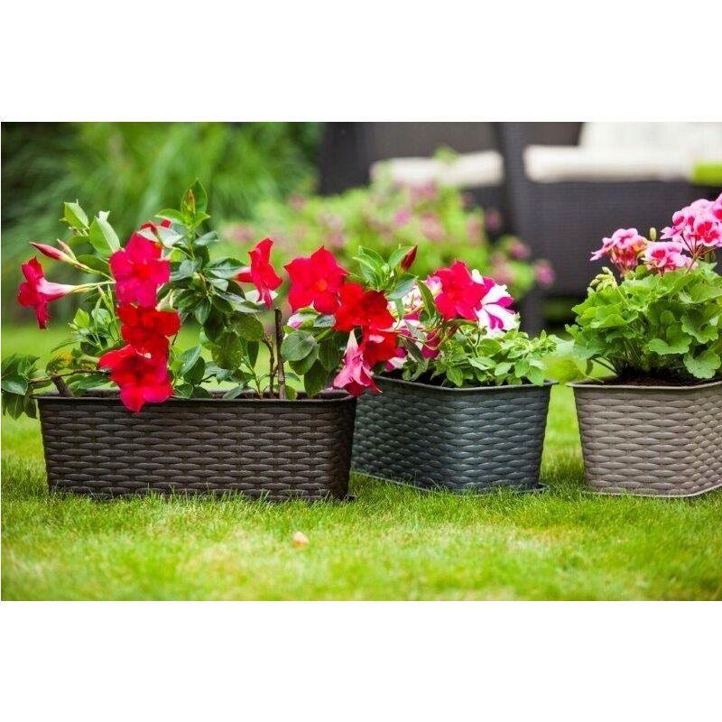 Jardinière De Balcon Altea Erhard-Trading - Pot Ovale Ou Rond, Fixation Sans Perçage - Plusieurs Couleurs (Fuchsia) - 7