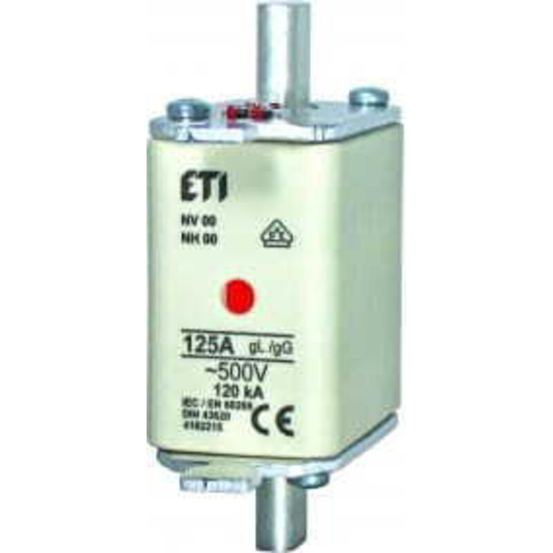 Fusibile ETI 100A 500V AC 120kA 22x58mm &ndash; Usato Ma Funzionante
