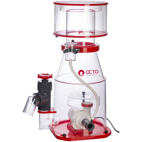 Écumeur de protéines Regal 250 - S OCTO