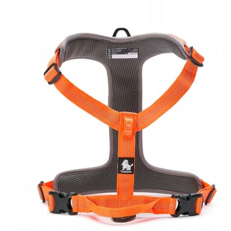 Dispositif De Guidage Harnais Pour Chien Aveugle, Halo Pour Chien Aveugle Anneau Anti Collision Pour Animal Compagnie Pour Renforcer La Confiance Accessoires Pour Chien Aveugle