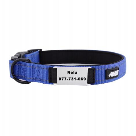 Collier Pour Chat Phosphorescent Personnalisable - Avec Nom Et Numéro De Téléphone - Boucle à Dégagement Rapide, Réglable - Sécurité Et Visibilité Nocturne