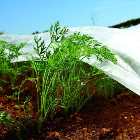 32m x 10m non tissé couverture végétale protection contre le gel de la plante (1/2)