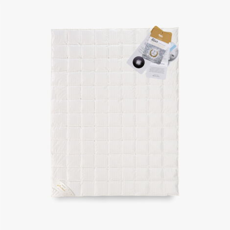 Couette DUVET D'OIE 155x200 ARGENT 1000g Exclusif toute l'année (1/4)
