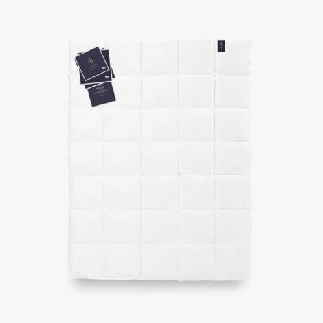Couette DUVET D'OIE 100% 155x200 QUEEN 490g Exclusif Chaud (1/5)