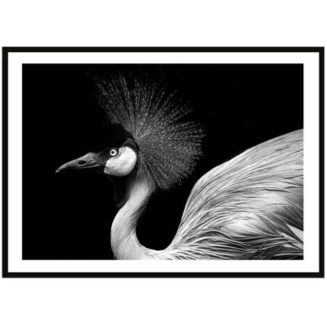 AFFICHE PHOTO ENCADRÉE 33x43 cm Oiseau P2259 (1/3)