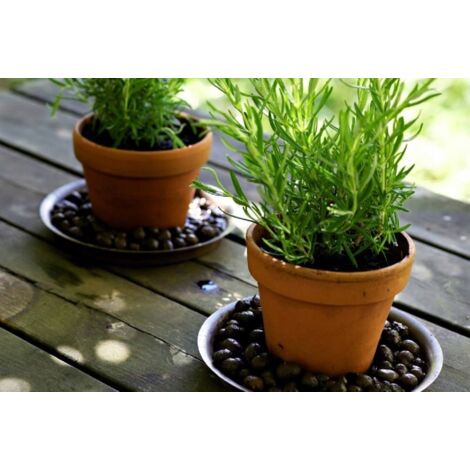 Granulés de drainage d'argile expansée pour jardinage 5L 10-20mm (1/2)