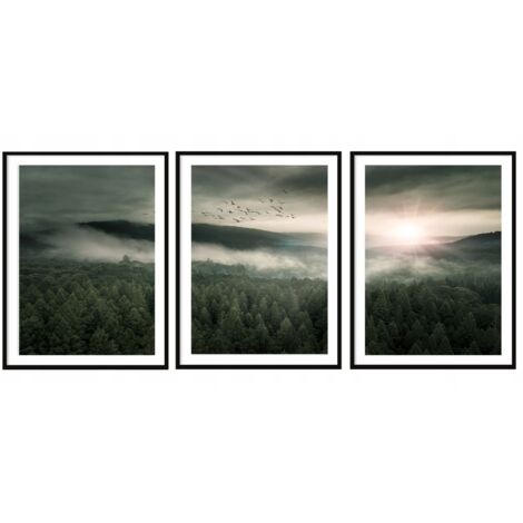 AFFICHE IMAGE ENCADRÉE 33x43cm Triptyque Ensemble de 3 tableaux Paysage forestier P2036 (1/3)