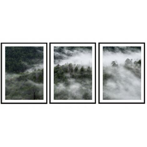 AFFICHE IMAGE ENCADRÉE 33x43cm Triptyque Lot de 3 tableaux Forêt Noir Blanc P2034 (1/3)