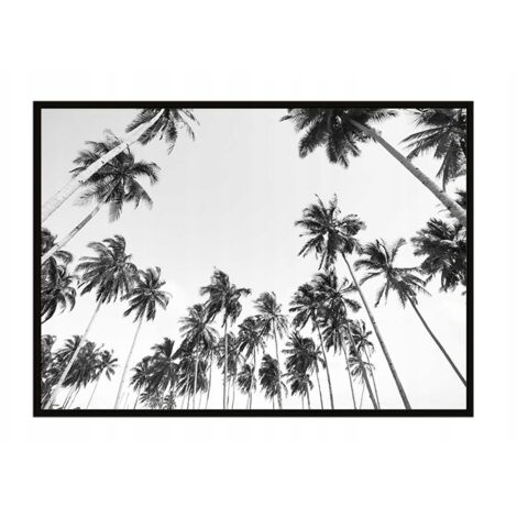 AFFICHE PHOTO ENCADRÉE 43x33 cm Palmiers P909