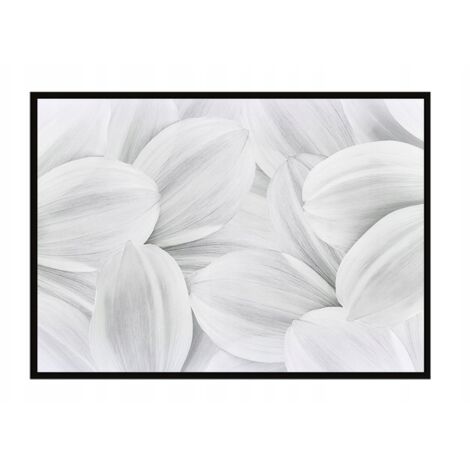 AFFICHE PHOTO ENCADRÉE 43x33 cm Pétales P938 (1/3)