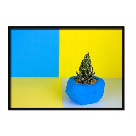 AFFICHE PHOTO ENCADRÉE 43x33 cm Plante 1 P614
