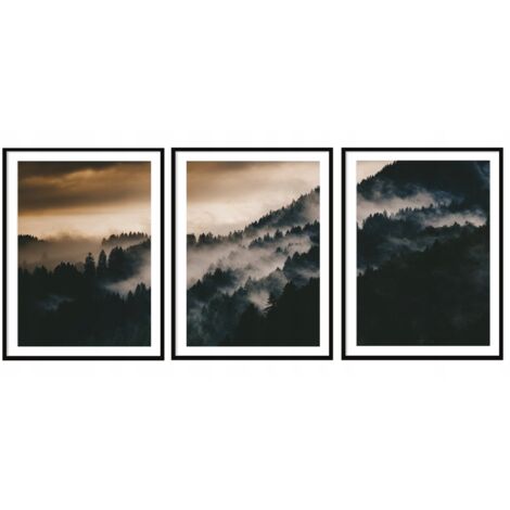 AFFICHE IMAGE ENCADRÉE 33x43cm Triptyque Ensemble de 3 tableaux Paysage forestier P2035 (1/3)