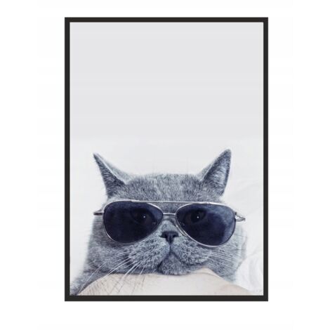 IMAGE, AFFICHE ENCADRÉE 33x43 cm Chat P503 (1/4)