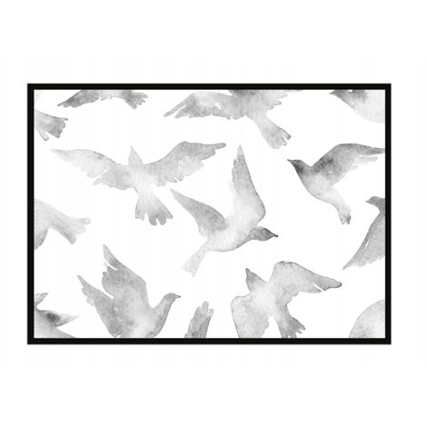 AFFICHE PHOTO ENCADRÉE 43x33 cm Oiseaux P929 (1/3)