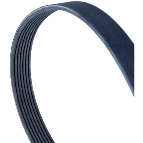 Pangocho-Courroie D'entraînement 6PJ419 8PJ419 7PJ419 10PJ419