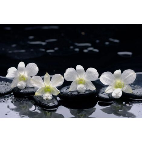 Tapis magnétique pour cache radiateur, ZEN Flowers, 60x100