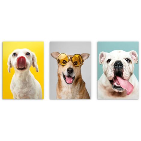 Affiches jeunesse pour enfants Chiens Images pour enfants adolescents couleur 50x70 (1/5)
