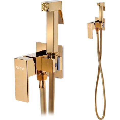 Robinet de bidet intégré, robinet de toilette, robinet de salle de bain doré (1/5)