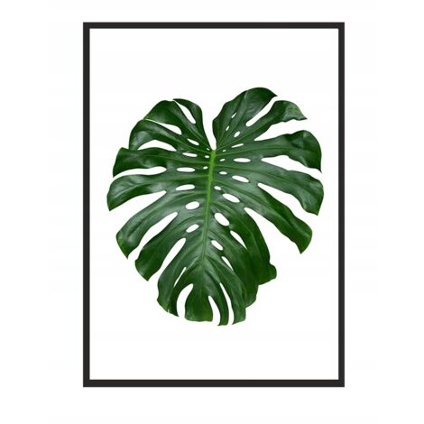 IMAGE, AFFICHE ENCADRÉE 43x33 cm Feuille 1 P569 (1/4)