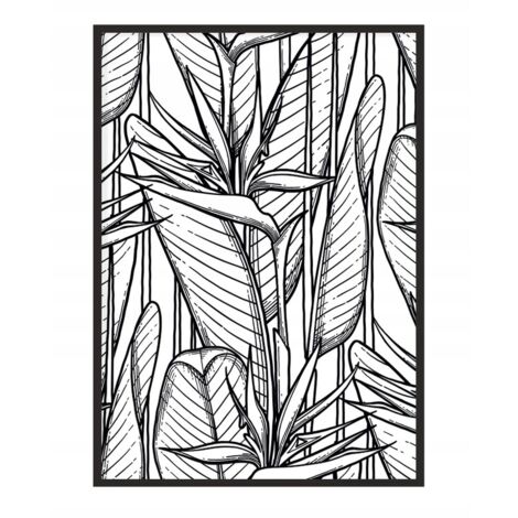 AFFICHE PHOTO ENCADRÉE 43x33 cm Feuilles P1157 (1/4)
