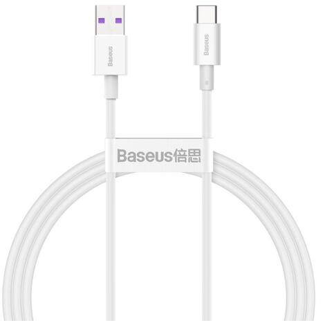 Câble USB-C 66 W 6 A 1 m de qualité supérieure - Blanc (1/5)
