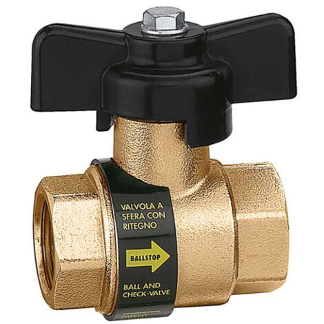 Robinet à boisseau sphérique 3/4" avec clapet anti-retour intégré (1/3)