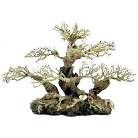 PROGROW BONSAÏ BT3L 40X15X30CM