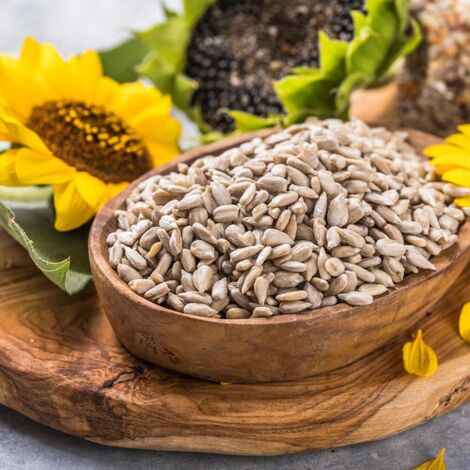 Graines Tournesol Oiseaux - Comparez Les Et Achetez Sur