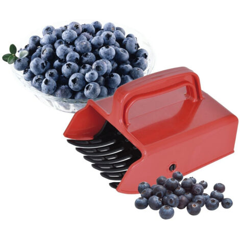 Cueilleur de baies pour fruits, myrtilles, groseilles, peigne, machine, conteneur (1/5)