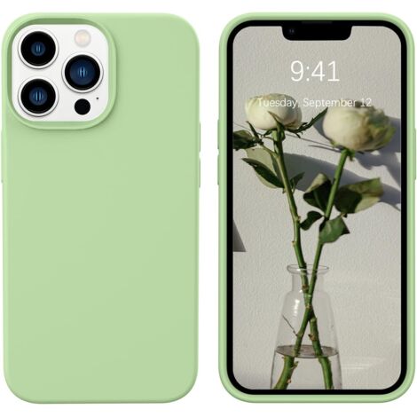 COQUE EN SILICONE VERTE POUR APPLE IPHONE 13 PRO (1/5)