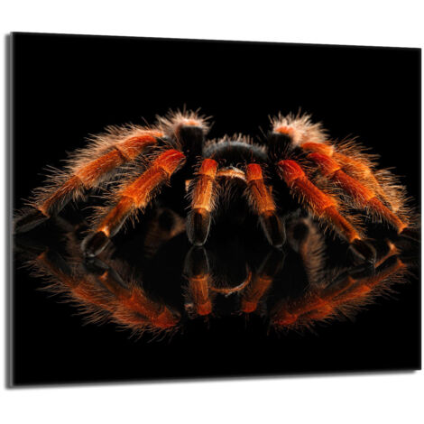 Plaque de protection en verre pour le poêle 60x52 Spider (1/5)