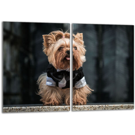 Plaque de protection en verre pour le poêle 2x40x52 Chien (1/5)