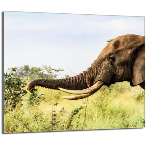 Plaque de protection en verre pour poêle 60x52 Elephant (1/5)