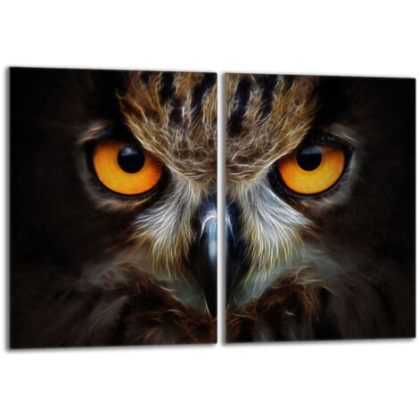Plaque de protection en verre pour le poêle 2x40x52 Owl (1/5)