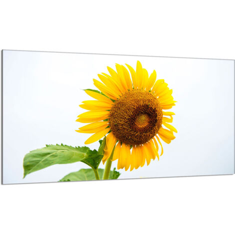 Plaque de protection de poêle en verre 90x52 Fleur (1/5)