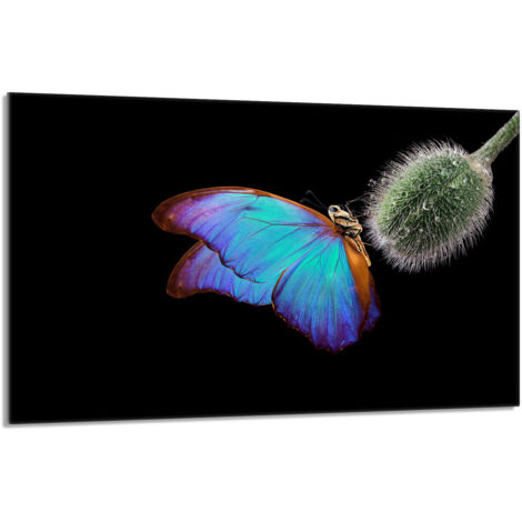 Plaque de protection en verre pour poêle 80x52 Butterfly (1/5)