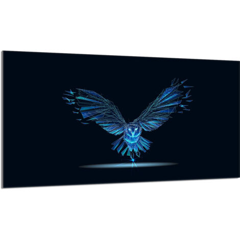 Plaque de protection de poêle en verre 90x52 Bird (1/5)