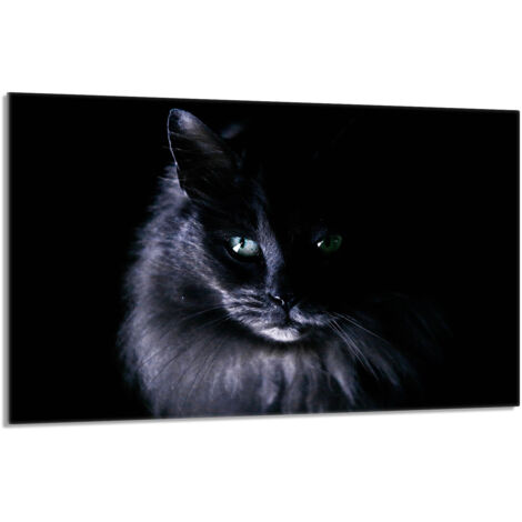 Plaque de protection en verre pour le poêle 80x52 Cat (1/5)