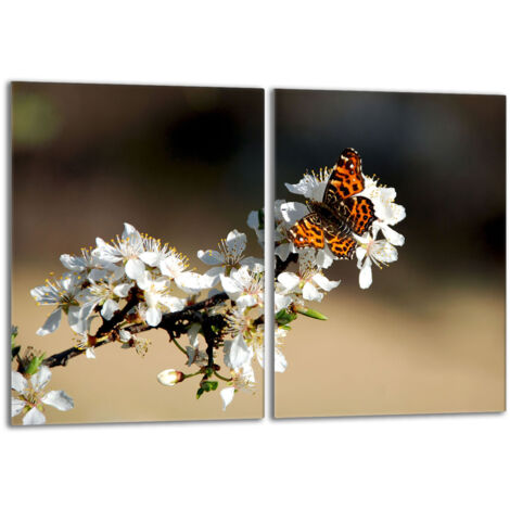 Plaque de protection en verre pour poêle 2x40x52 Prune (1/5)